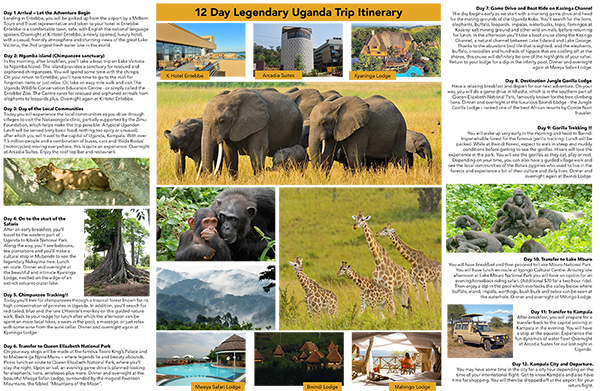 tour and safari brochure page 2 view image
